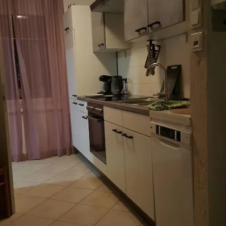 Brauner Baer Mit Tollen Ausblick