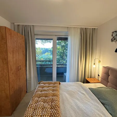 Brauner Baer Mit Tollen Ausblick *