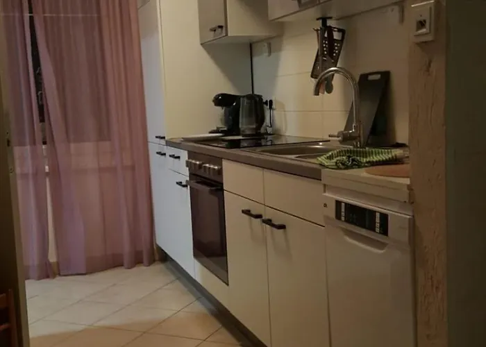 Brauner Baer Mit Tollen Ausblick