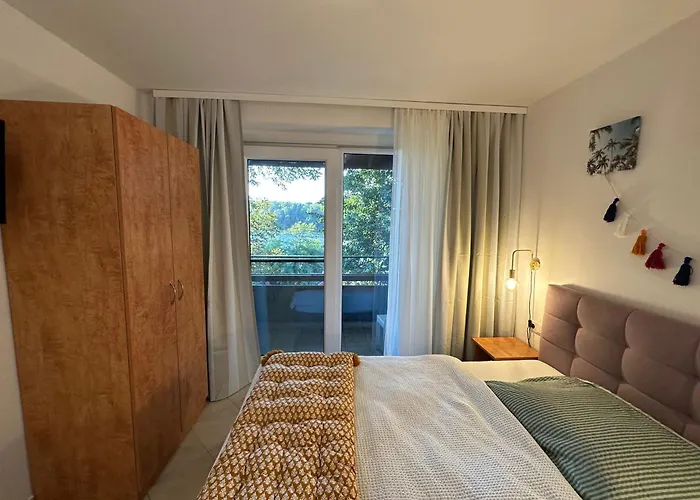 Brauner Baer Mit Tollen Ausblick *